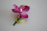 /album/einige-gasteanstecker-referenzen/img-8572-jpg/