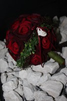 /album/fotogalerie-braut-u-wurfstrause/a11025836-686081751514169-165266731465360597-o-jpg/