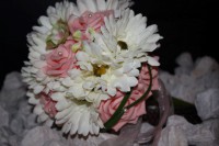 /album/fotogalerie-braut-u-wurfstrause/a11412080-735459966576347-3509695073504540578-o-jpg/