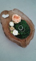 /album/fotogalerie-kreative-ringprasentation/a11116422-10205403650764882-751633704023881130-n-jpg/