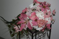 /album/fotogalerie-braut-u-wurfstrause/img-0784-jpg/