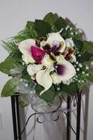 /album/fotogalerie-braut-u-wurfstrause/img-1372-jpg/