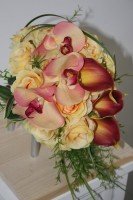 /album/fotogalerie-braut-u-wurfstrause/img-1557-jpg/