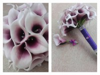 /album/fotogalerie-braut-u-wurfstrause/image-3-jpg1/